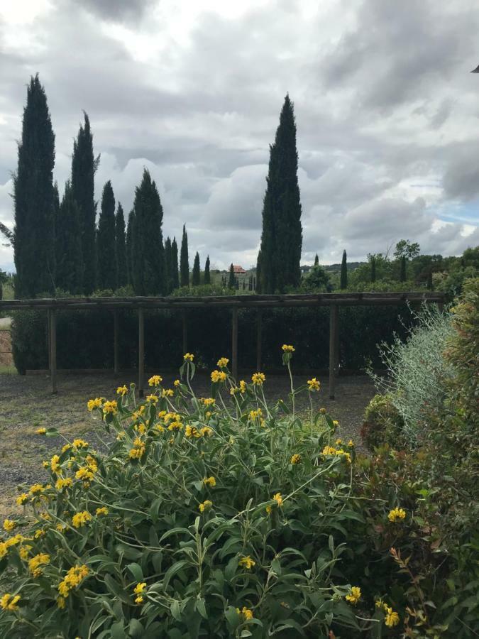 Casa Vacanze "Casale Al Pino" Riparbella Eksteriør bilde